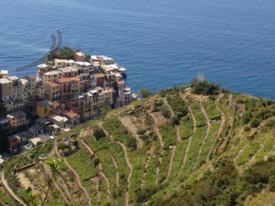 Appartamento Vacanze "Borgo Cinque Terre" Volastra Manarola Dış mekan fotoğraf