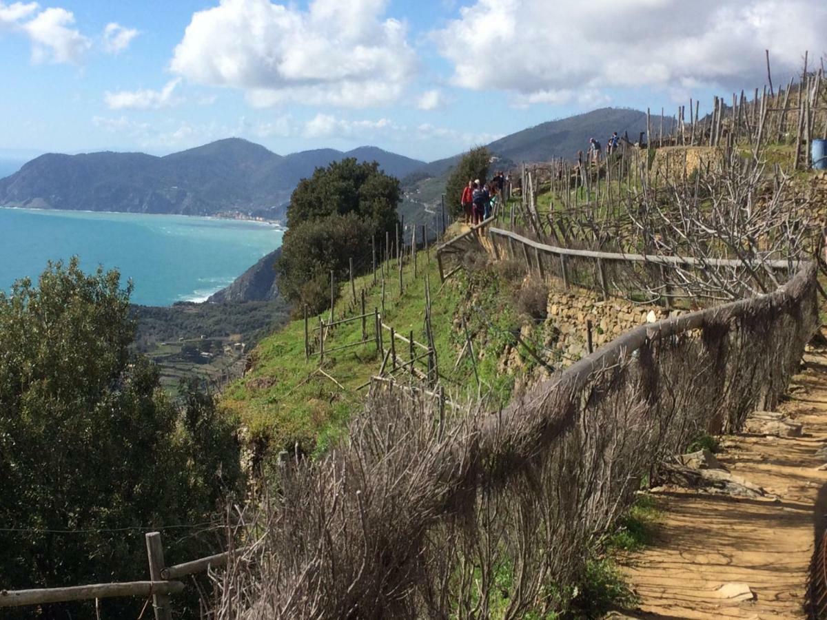 Appartamento Vacanze "Borgo Cinque Terre" Volastra Manarola Dış mekan fotoğraf