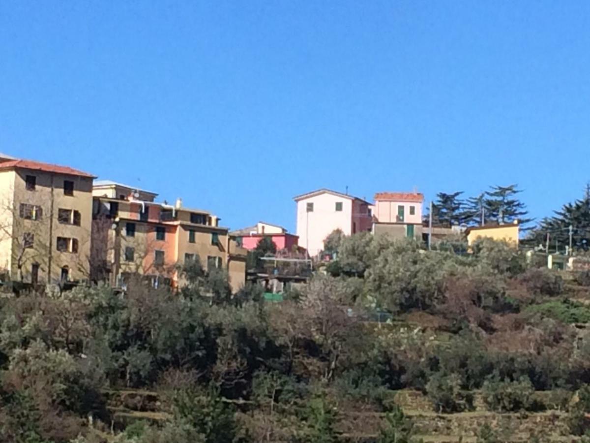 Appartamento Vacanze "Borgo Cinque Terre" Volastra Manarola Dış mekan fotoğraf